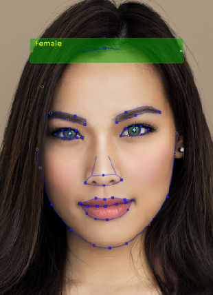 face detection